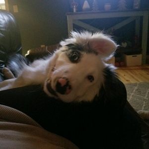 Meet your Posher, Crystal